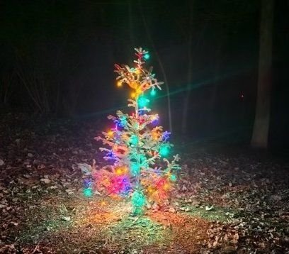 Christmas tree poems