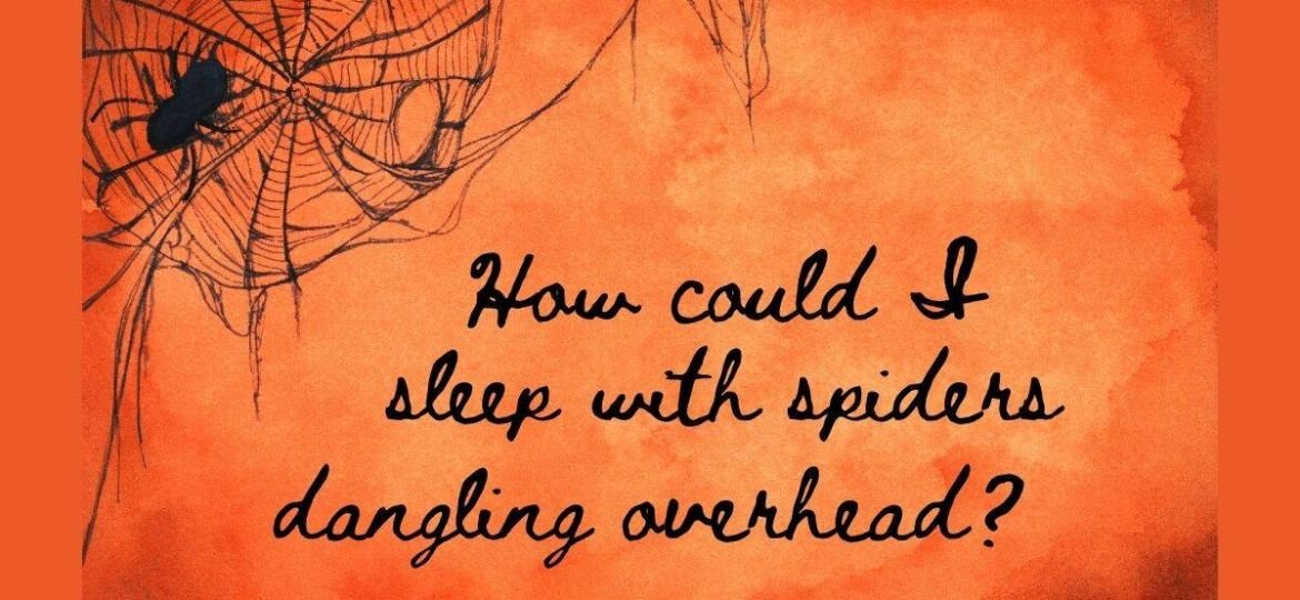 sleeping with spiders