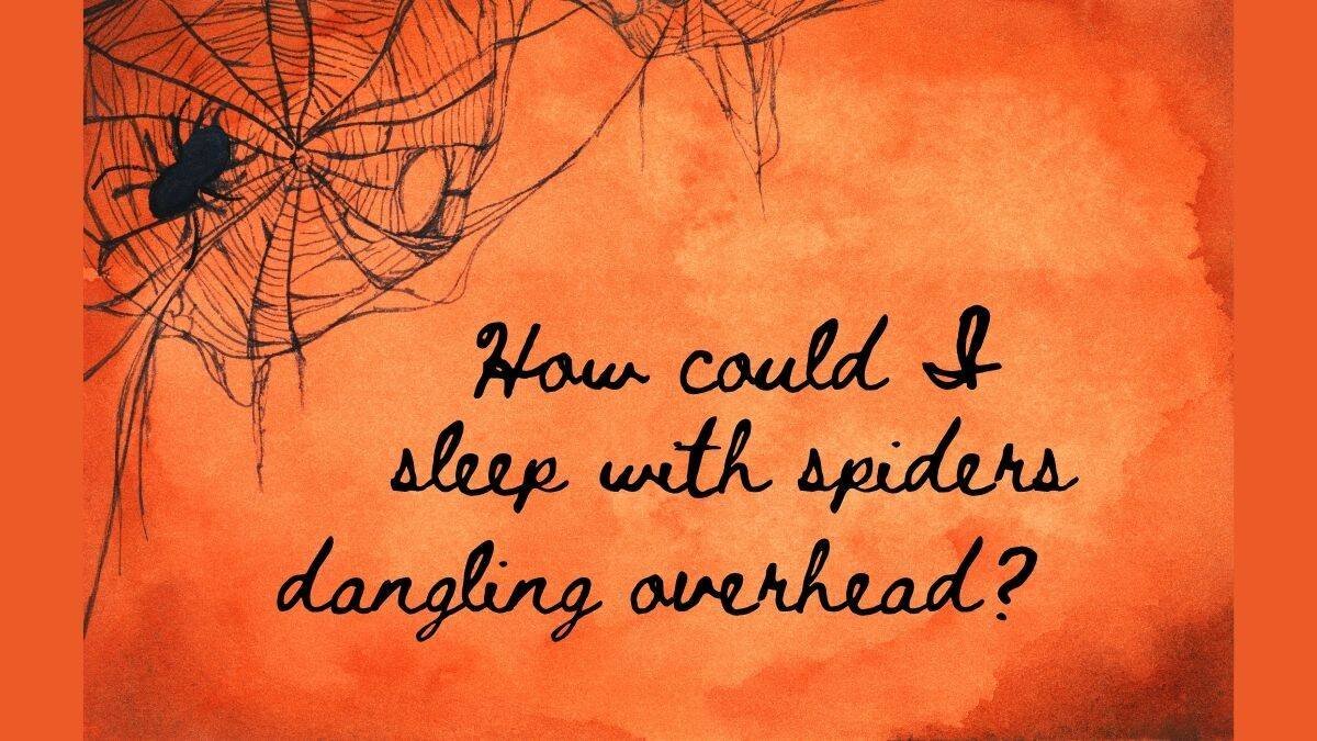 sleeping-with-spiders
