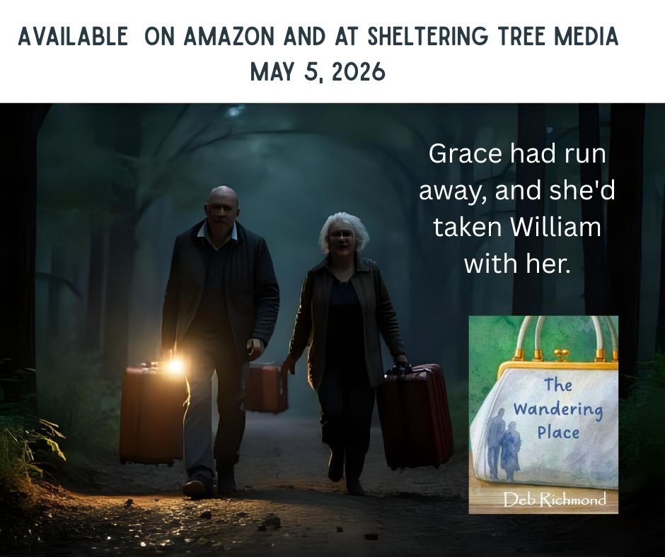 a-debut-novel-the-wandering-place